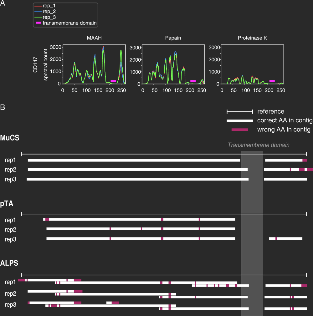 de novo sequencing of CD147. (Mai, et al., 2022)