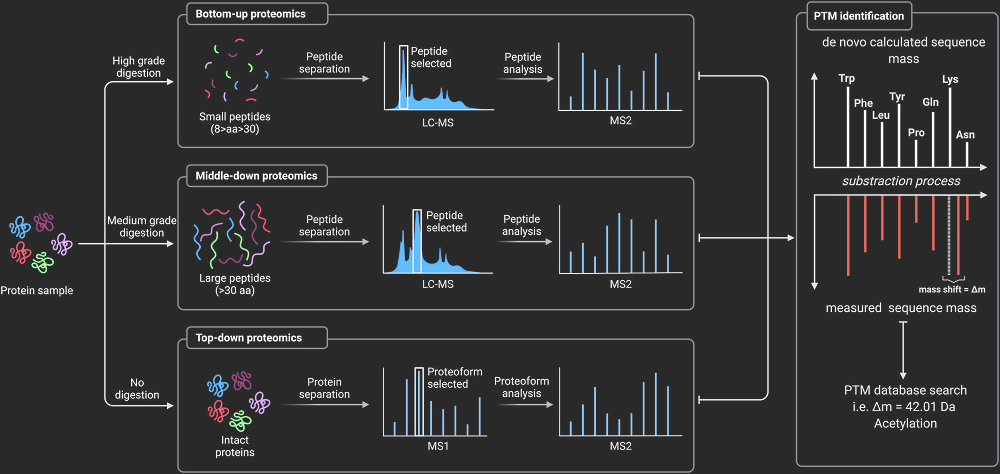  MS/MS PTM analysis.