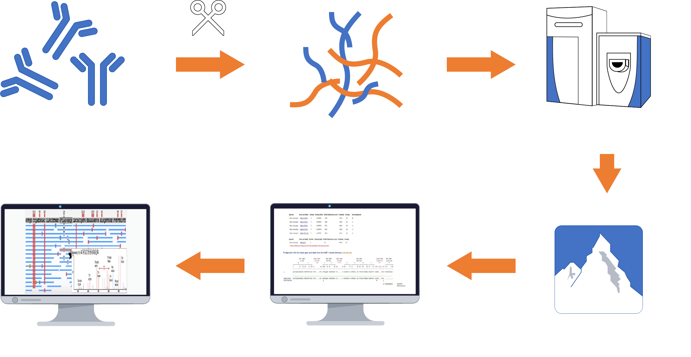 DASS workflow. (Creative Biolabs original)