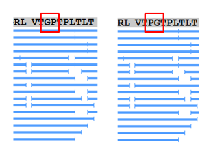 Fig.1. Flipped positions in a peptide mapping experiment. (Creative Biolabs Original)