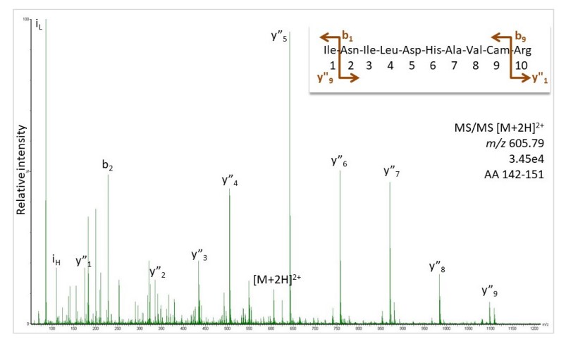 Fig.1 MS/MS spectrum of doubly-charged peptide.