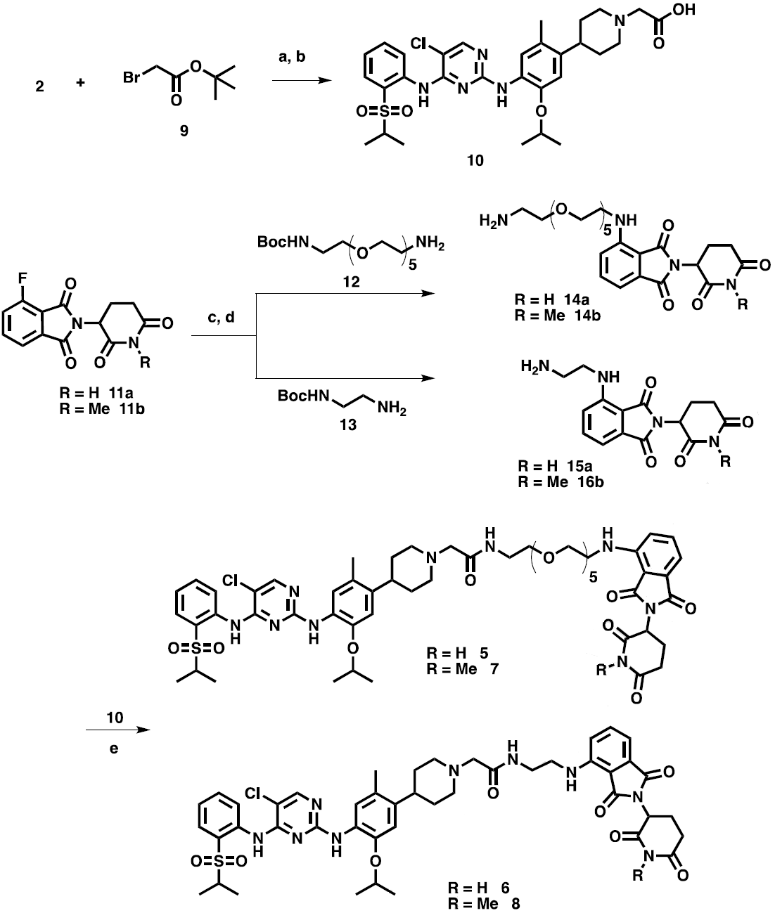 Synthesis of ALK PROTAC<sup>®</sup>s and controls.