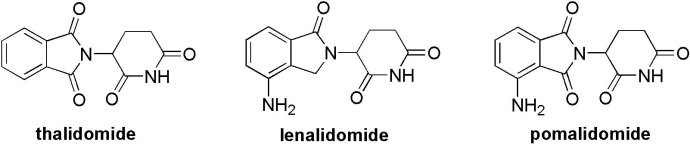 Structure of three IMiDs: thalidomide, lenalidomide, and pomalidomide.