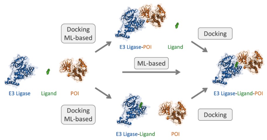 Three strategies for the prediction of the 3D structure of a ternary complex. (OA Literature)