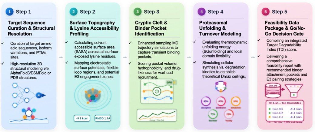 Workflow of In Silico Target Protein Structural & Degradability Feasibility Assessment Service. (Creative Biolabs AI)