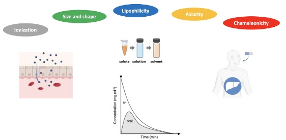 Molecular and in vitro ADME Determinants of bRo5 oral bioavailability. (OA Literature)