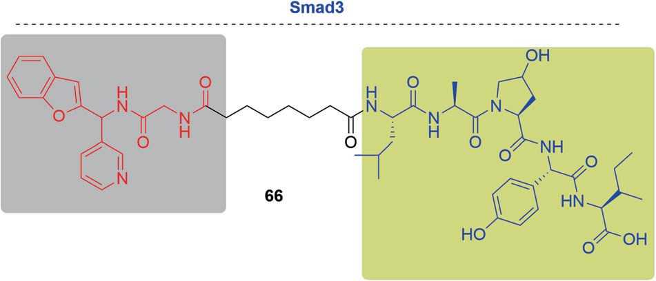 Structure of Protein Degrader targeting Smad3.
