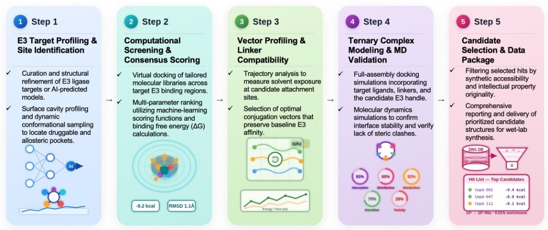 Workflow of In Silico E3 Ligase Ligand Screening Service. (Creative Biolabs AI)