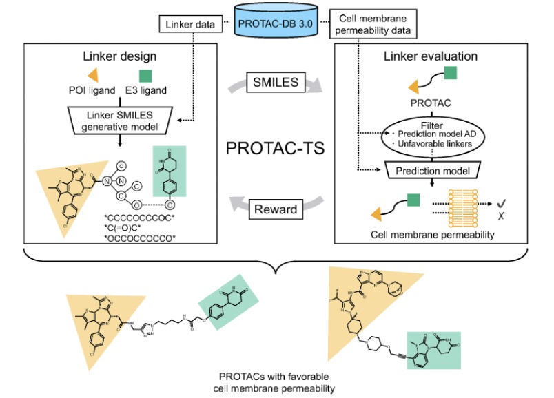 Linker design and linker evaluation in the workflow (OA Literature)
