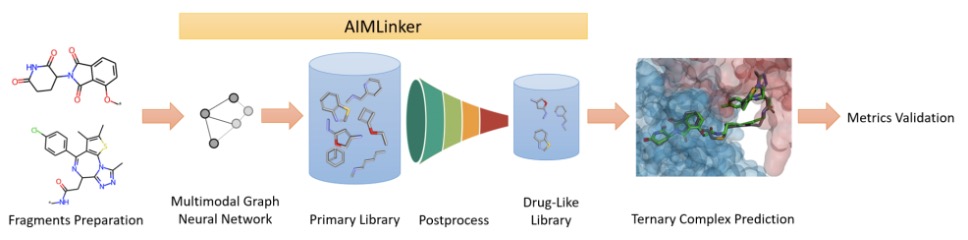 The pipeline preprocesses two input fragments, uses AIMLinker to generate linker molecules, applies post-processing, and validates the top four docking hits for drug-likeness robustness. (OA Literature)
