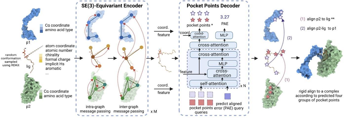 DeepTernary is an SE(3)-equivalent GNN with attention for efficient information exchange. (OA Literature)