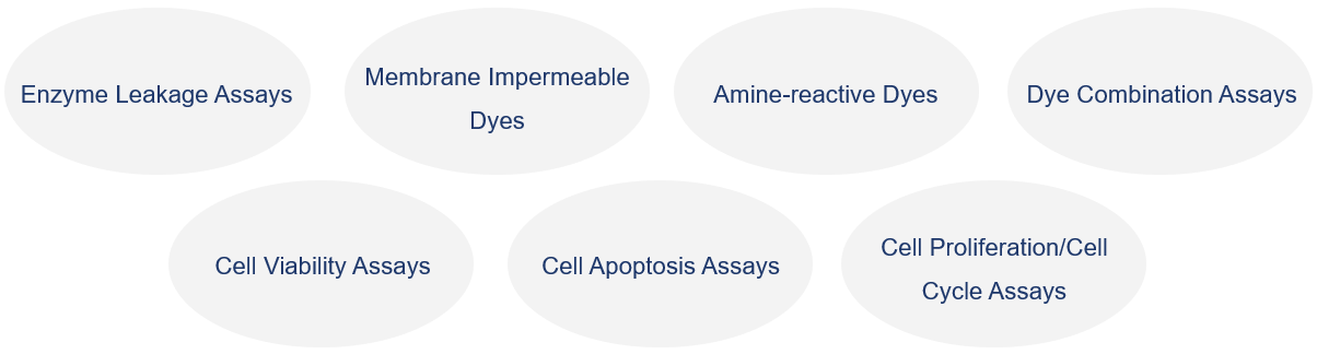 Cell cytotoxicity assays at Creative Biolabs. (Creative Biolabs Original)