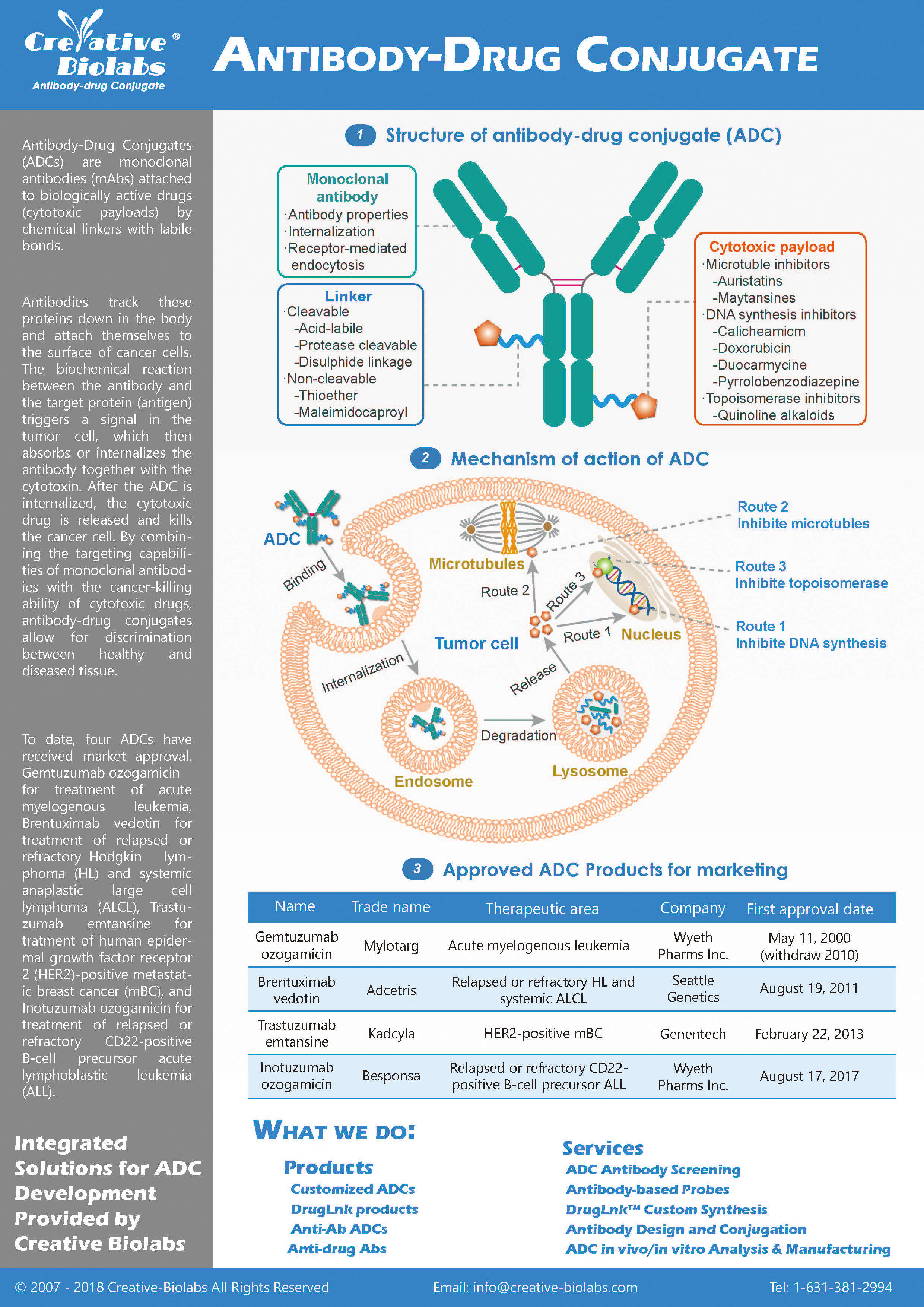 Antibody-Drug Conjugate