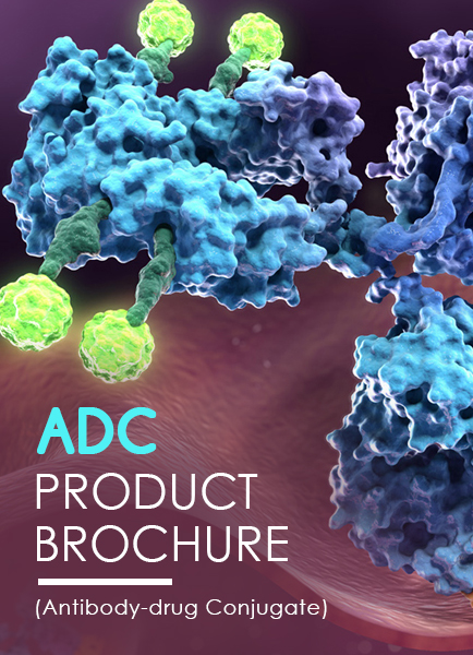 Creative Biolabs ADC Product Brochure