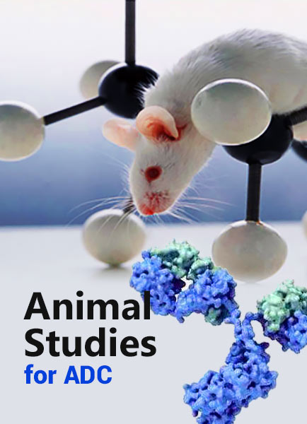 Animal Studies for ADC