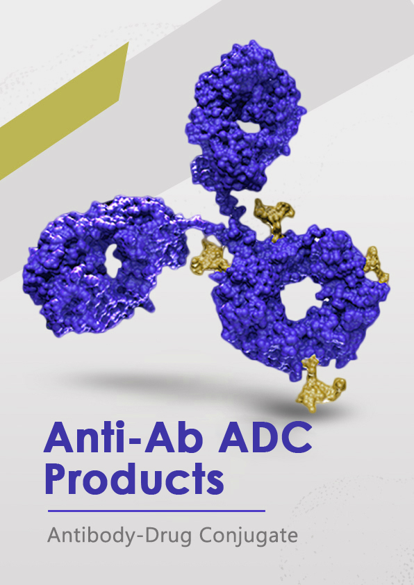 Anti-Ab ADC  Products