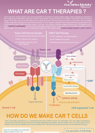 Understand CAR-T Therapy by One Graphic