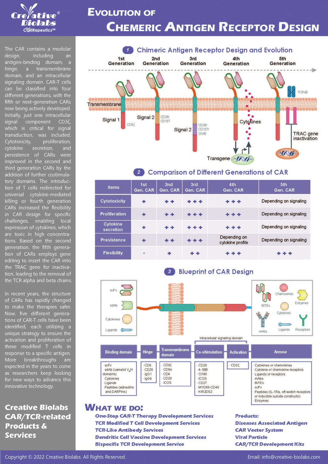 Evolution of Chimeric Antigen Receptor Design