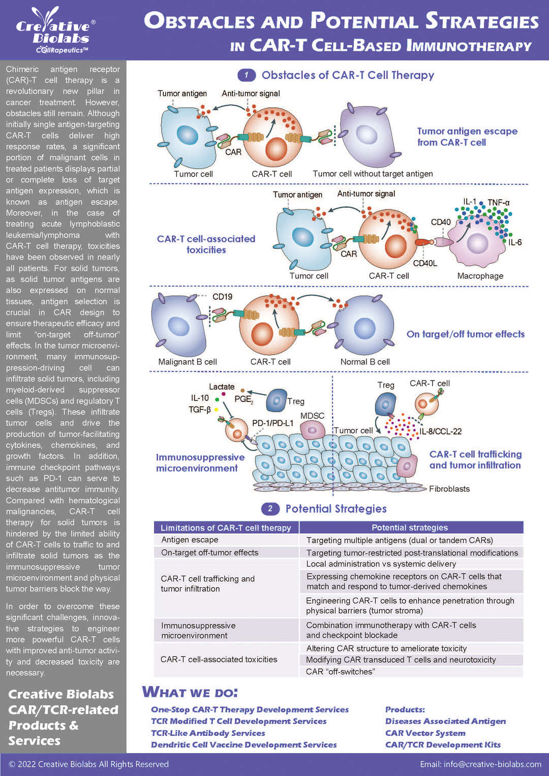 CAR-T Cell Immunotherapy: Clinical Applications and Challenges