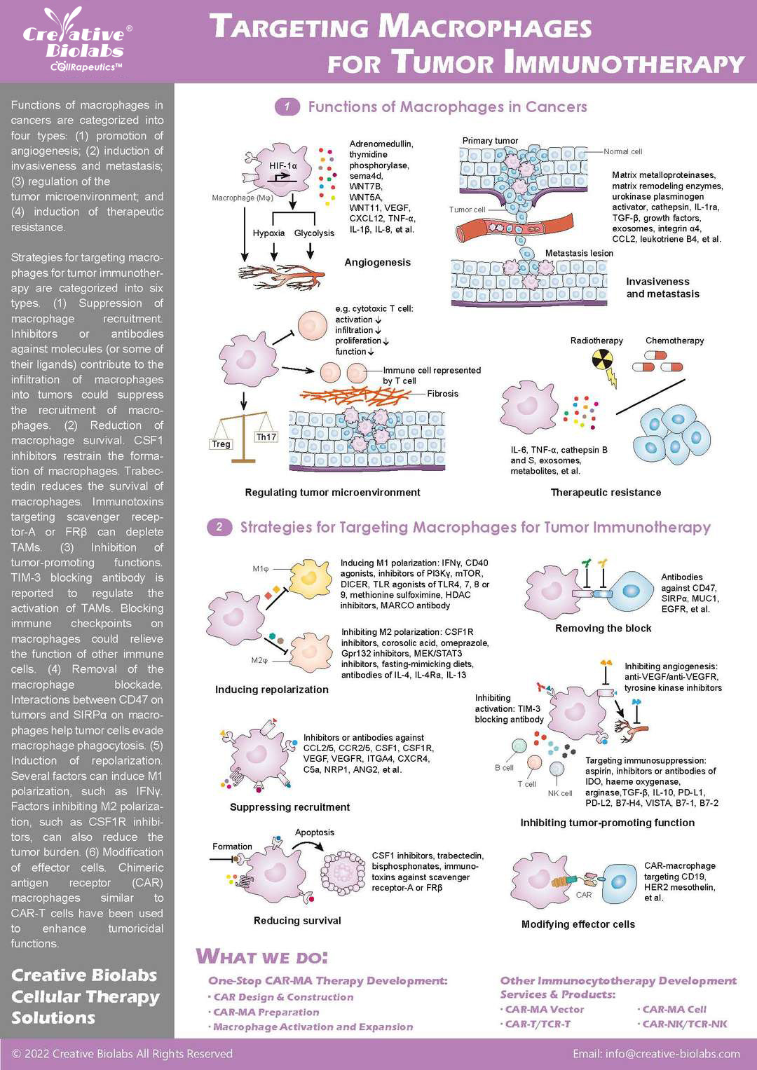 Targeting Macrophages for Tumor Immunotherapy
