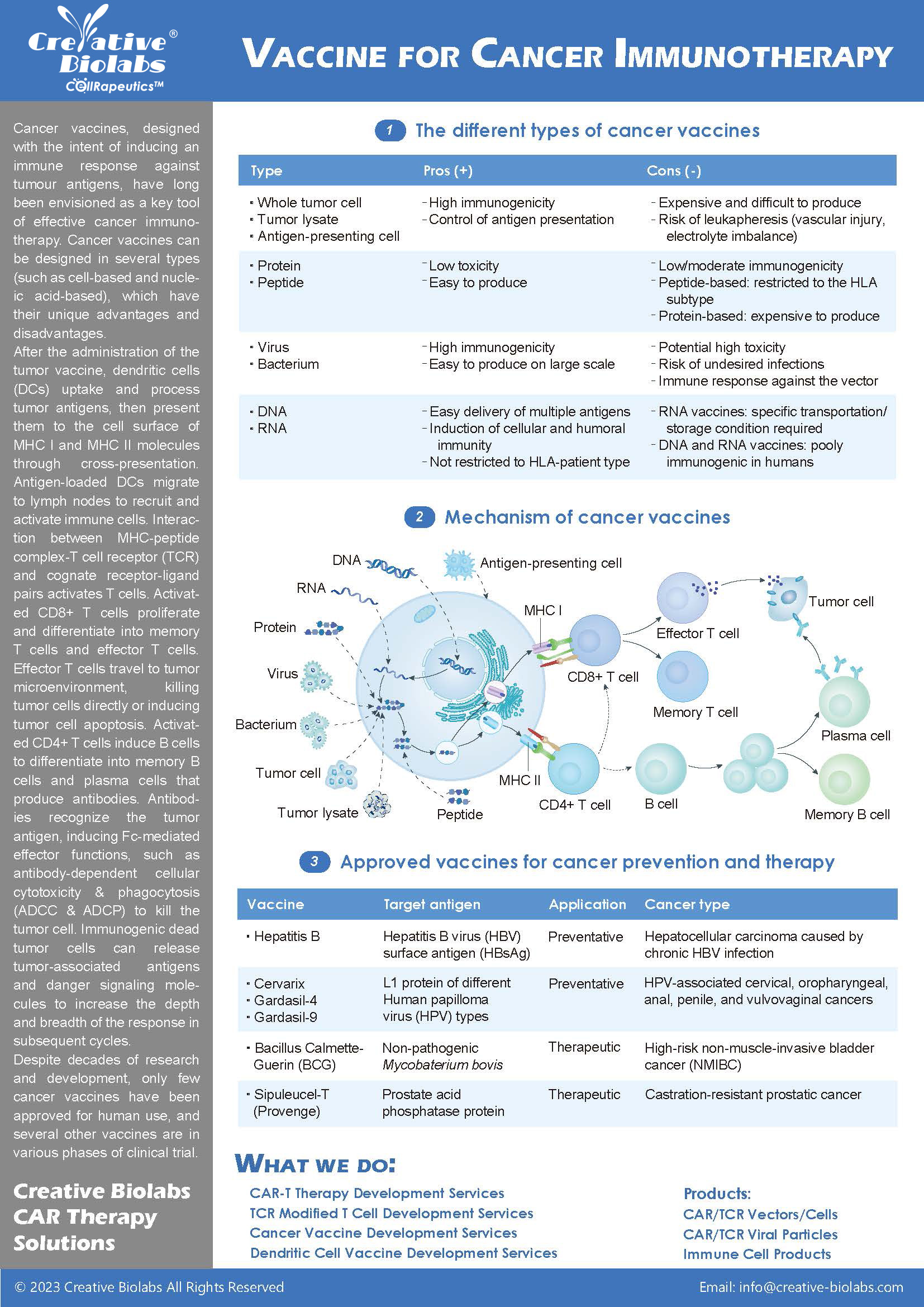 Natural Killer Cell Based Therapeutics
