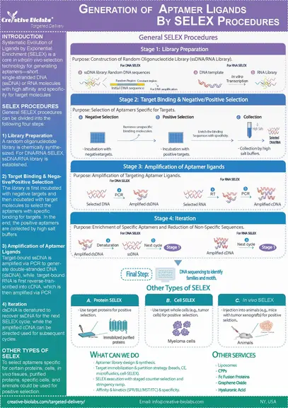 generation-of-aptamer-ligands-by-selex-procedures