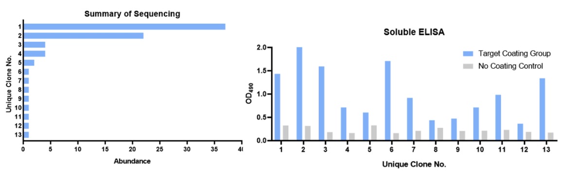 Fig.3 DNA sequencing and QC soluble ELISA. (Creative Biolabs Original)