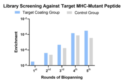 Fig.1 Library screening stage. (Creative Biolabs Original)