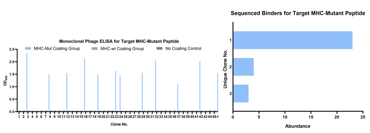 Fig.2 Monoclonal phage ELISA and DNA sequencing. (Creative Biolabs Original)