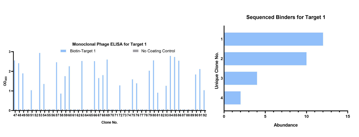 Fig.2 Monoclonal phage ELISA and DNA sequencing. (Creative Biolabs Original)