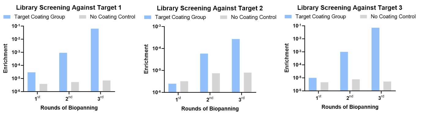 Fig.2 Library screening stage. (Creative Biolabs Original)