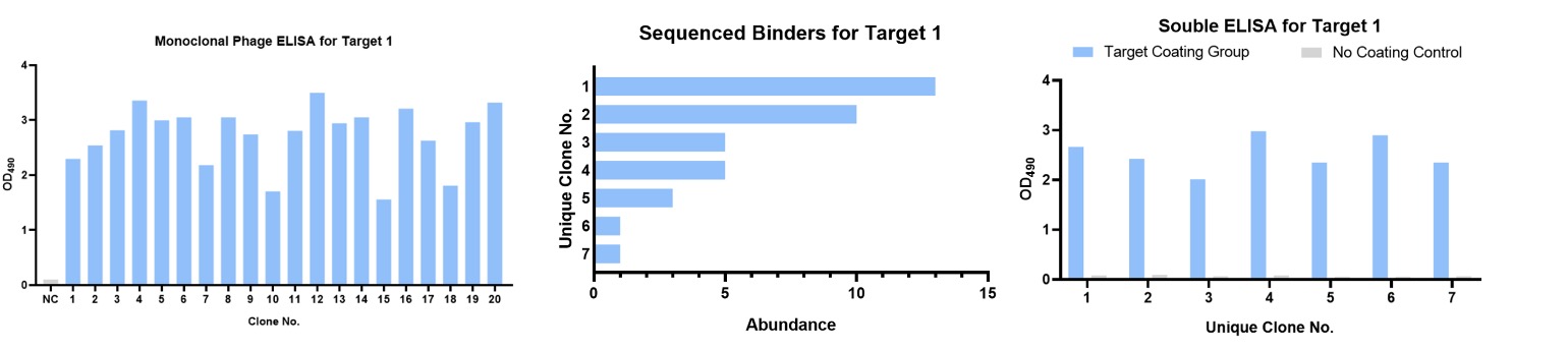 Fig.3 DNA sequencing and QC soluble ELISA for Target-1. (Creative Biolabs Original)