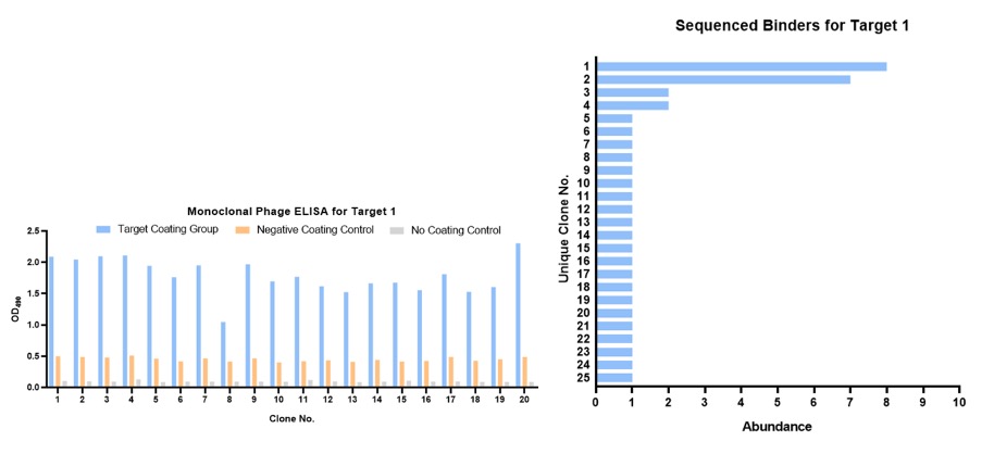 Fig.3 Monoclonal phage ELISA and DNA sequencing. (Creative Biolabs Original)