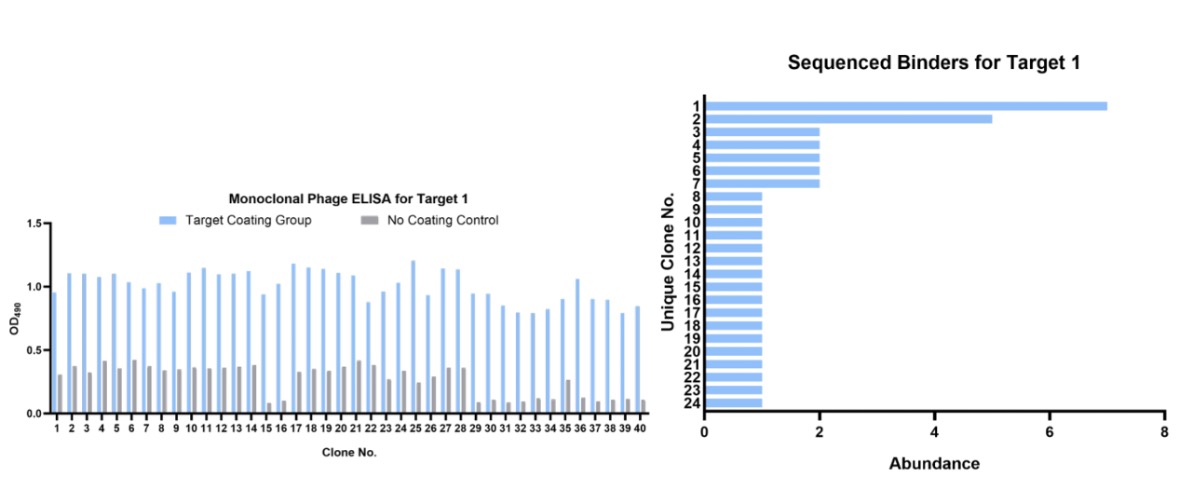Fig.3 Monoclonal phage ELISA and DNA sequencing. (Creative Biolabs Original)