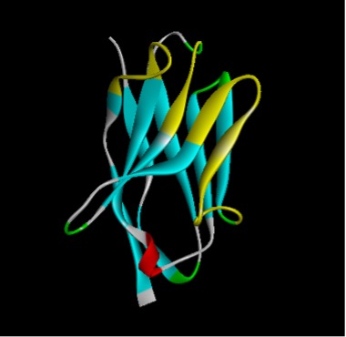 Fig.1 VHH model. (Creative Biolabs Original)