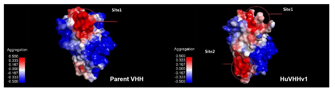 Fig.2 Aggregation analysis. (Creative Biolabs Original)