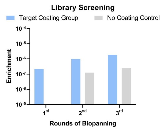 Fig.2 Library screening stage. (Creative Biolabs Original)