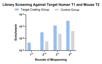 Fig.1 Library screening stage. (Creative Biolabs Original)