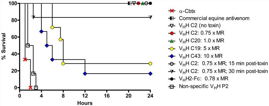 Fig. 1 Various α–Cbtx-specific VHHs and VHH2-Fc antibodies reduced lethality induced by α–Cbtx in mice.