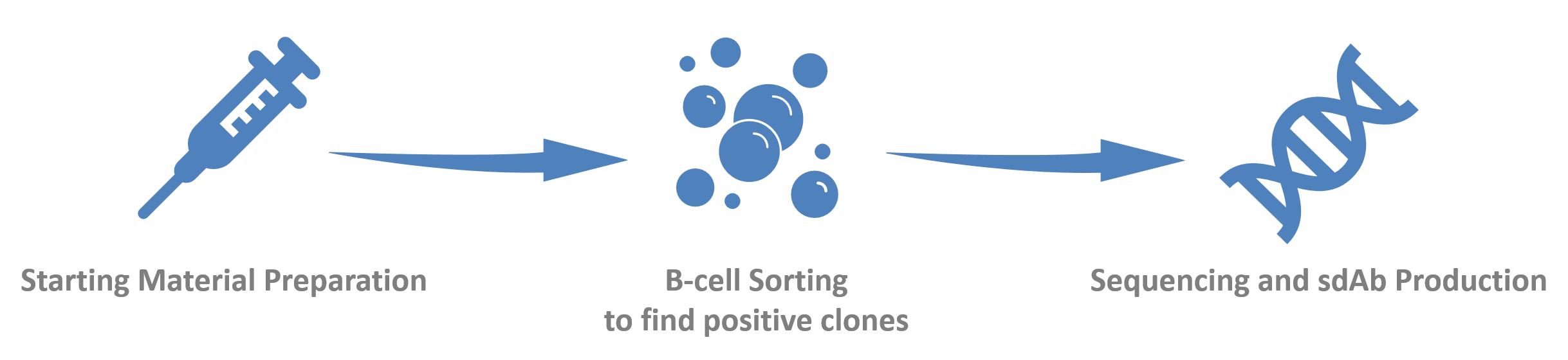 Fig.1 B-cell-sorting-based VHH discovery.