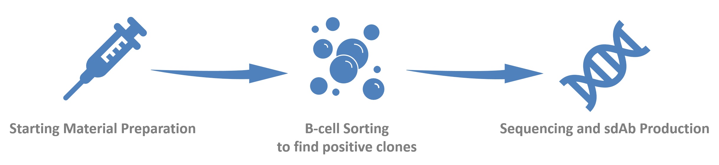 B-cell-sorting-based sdAb discovery.