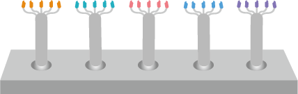 Epitopes Mimic Peptides