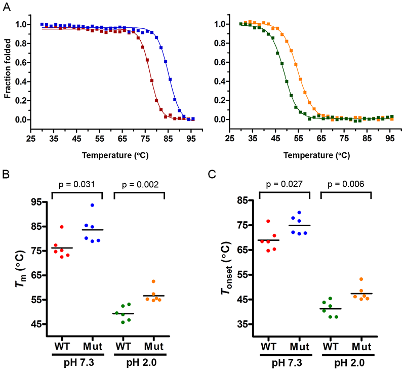 Fig. 2 Comparative Thermal Stability of VHH Mutants under Acidic and Neutral Conditions.
