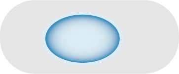 Target Expression Plasmids
