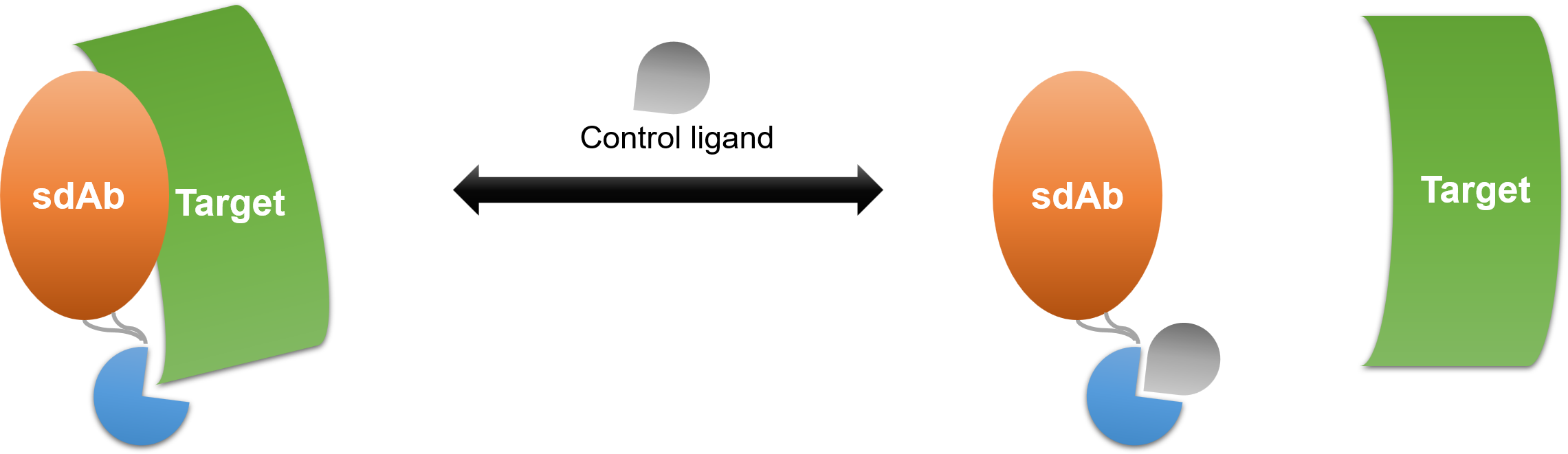A schematic diagram of how specificity controllable sdAb work. (Creative Biolabs Original)