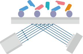 VHH Affinity Measurement