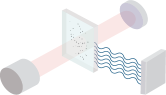 VHH Stability Evaluation
