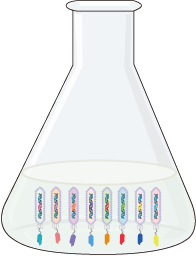 VHH Specificity Verification