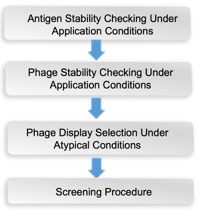 Schematic representation of the sdAb selection under application conditions.