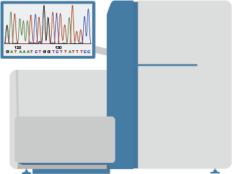 Target Identification